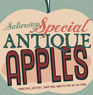 antique apples sign graphic