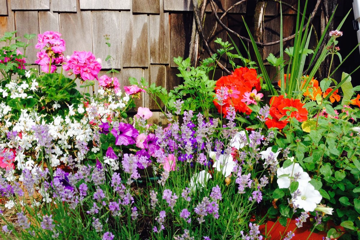 glen lake garden club