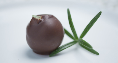 rosemary sprig and chocolate up close