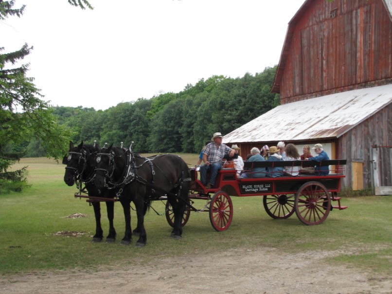 horse and wagon tour group