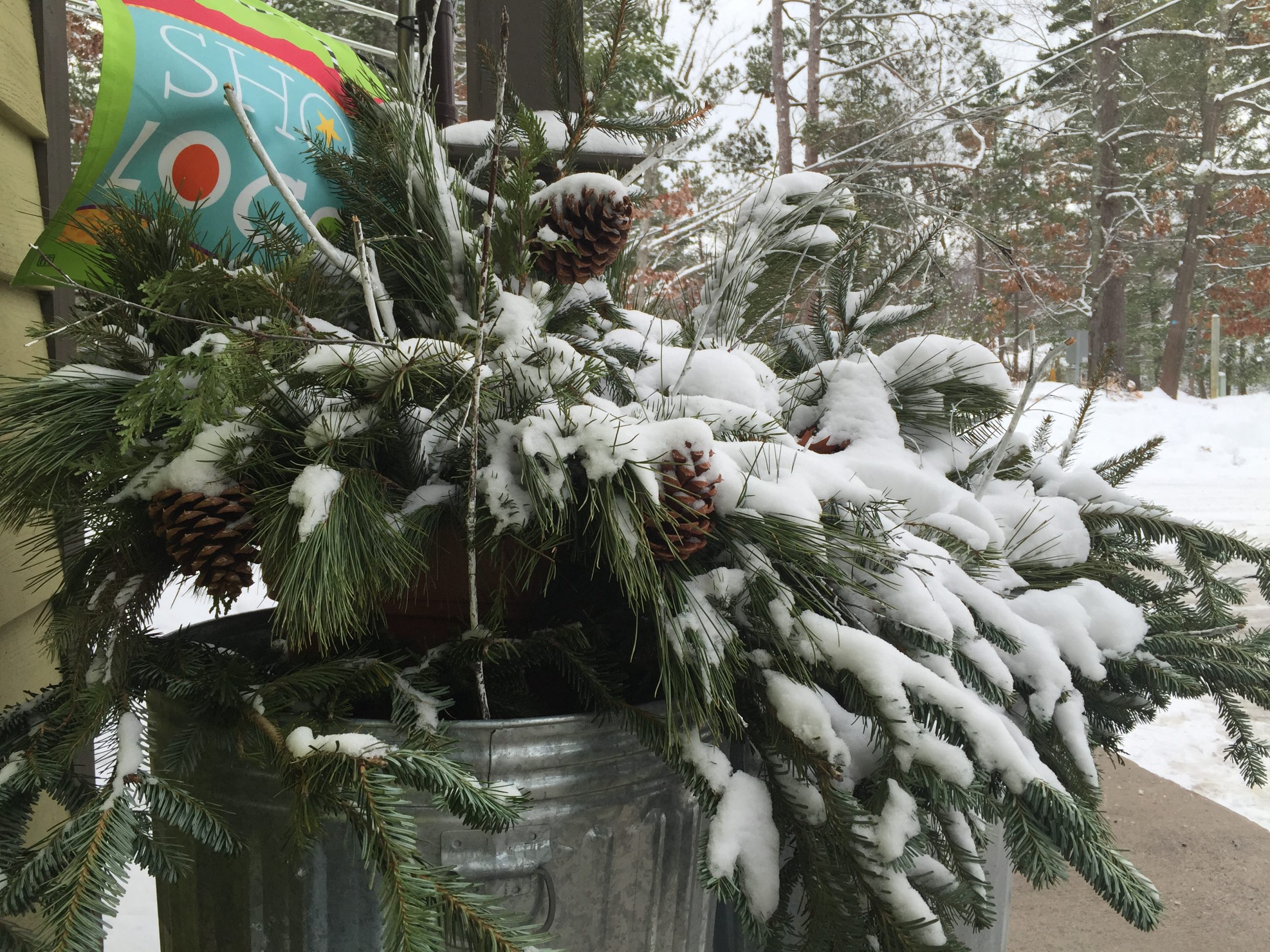 shop local flag in snowy evergreens container