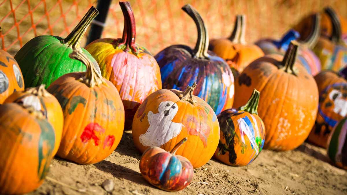 painted pumpkins family kid friendly event in glen arbor