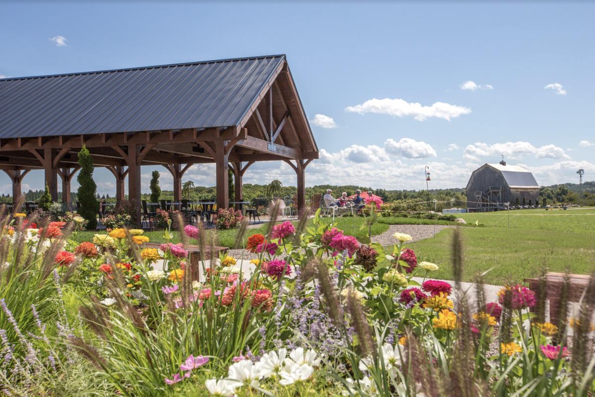 garden and pavilion at french valley vineyard