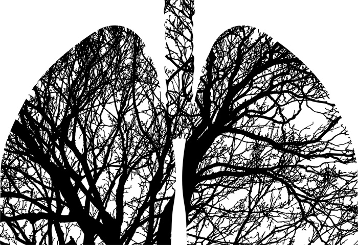 lungs graphic