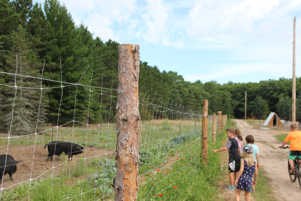 kids walking the garden rows at Jackson Station farm