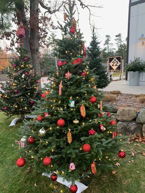 strolling light festival glen arbor trees decorated by M22 and Coastal stores for a fundraiser