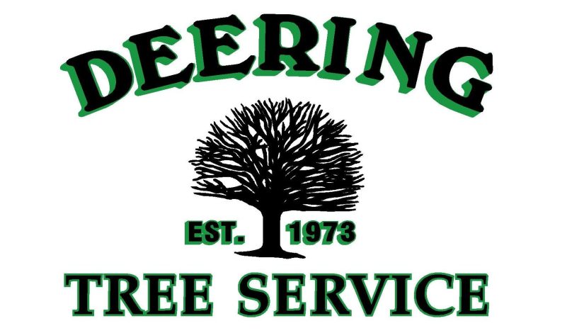 Deering Tree Service Logo